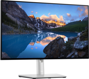 Dell 23,8" U2422H S/Bk (IPS; 250 cd/m2; 1000:1; 8ms; 1920 x 1080; 178/178; DP(In); DP(Out) with MST; HDMI; 2xUSB-C; 3xUSB; Tilt, Swivel, HAS; Pivot; Dell 23,8" U2422H S/Bk (IPS; 250 cd/m2; 1000:1; 8ms; 1920 x 1080; 178/178; DP(In); DP(Out) with MST; HDMI; 2xUSB-C; 3xUSB; Tilt, Swivel, HAS; Pivot;