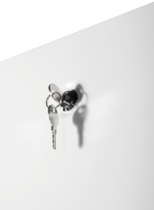 Шкаф серверный ЦМО (ШТК-Э-42.8.10-44АА) напольный 42U 800x1000мм пер.дв.перфор. задн.дв.перфор. 2 бок.пан. направл.под закл.гайки 710кг серый 915мм 11