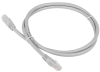 Патч-корд Lanmaster TWT-45-45-1.5/6-GY UTP RJ-45 вил.-вилка RJ-45 кат.6 1.5м серый ПВХ (уп.:1шт) Патч-корд Lanmaster TWT-45-45-1.5/6-GY UTP RJ-45 вил.-вилка RJ-45 кат.6 1.5м серый ПВХ (уп.:1шт)