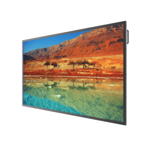 Dahua 64.5" LM65-S400 ADS LED 16:9 3840x2160 8ms 1200:1 400cd 178/178 D-Sub HDMI USB RS232(RJ45) OPS Speakers 1.5W*2 60Hz 24/7 ready VESA Black 2 year