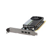 NVIDIA T400 2GB OEM GDDR6 900-5G172-1701-000 NVIDIA T400 2GB OEM GDDR6 900-5G172-1701-000