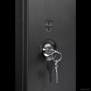 ЦМО Шкаф телекоммуникационный настенный разборный ЭКОНОМ 12U (600 x 520) дверь металл, цвет черный (ШРН-Э-12.500.1-9005)