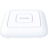D-Link DAP-300P/A1A